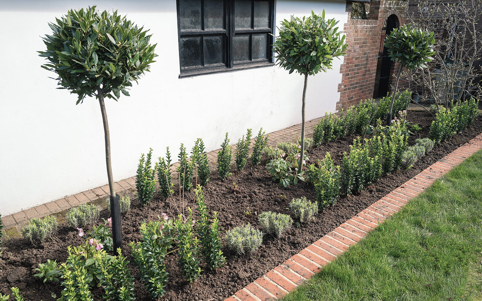 Honeysuckle Tree and Landscaping Work